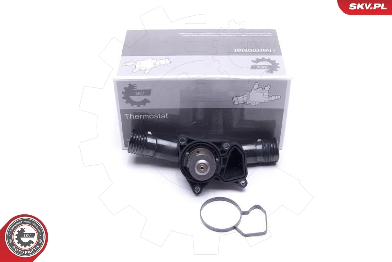 Thermostat, coolant